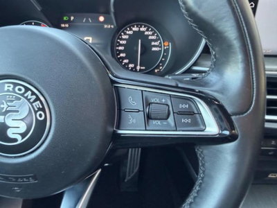 Alfa Romeo Stelvio Stelvio 2.2 Turbodiesel 210 CV AT8 Q4 6C Villa D'este (17)